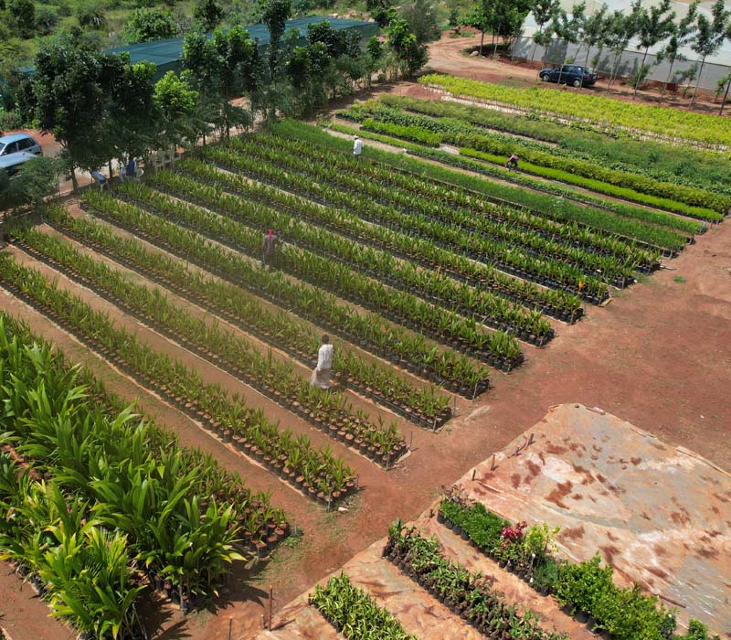 chithravathi organic village aerial view of community farming